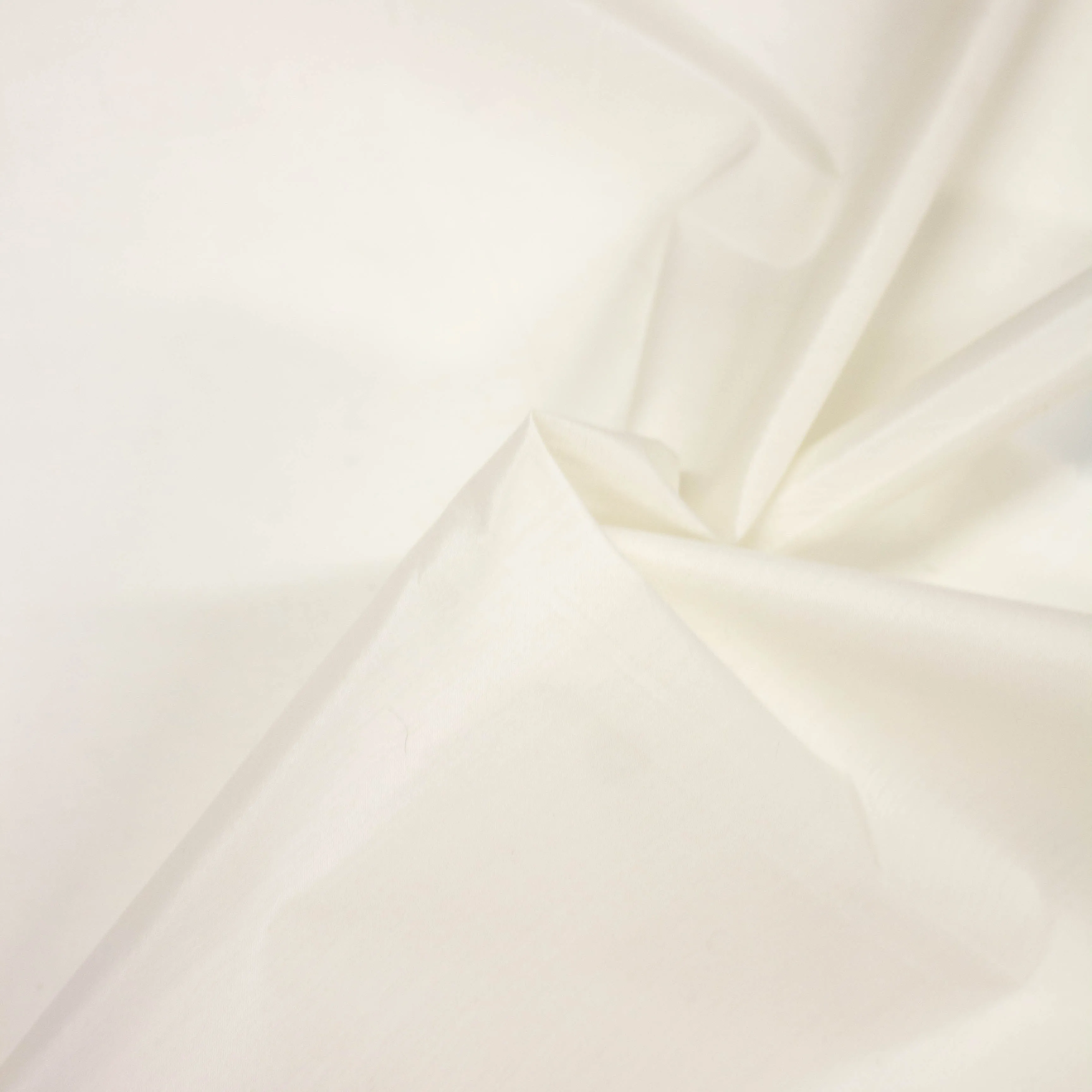 Echel Ivory Cotton Polyester Blend