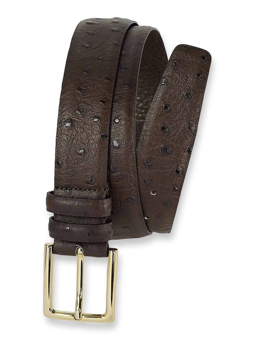 Ostrich Embossed Belt - Brown