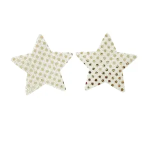 Shiny Star Silver Pasties